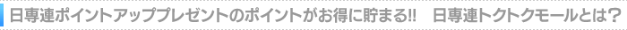 日専連ポイントプログラムの日専連ポイントがお得に貯まる!日専連トクトクモールとは?